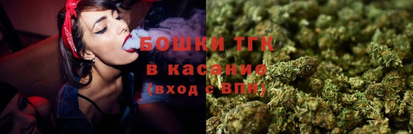 мдпв Осинники