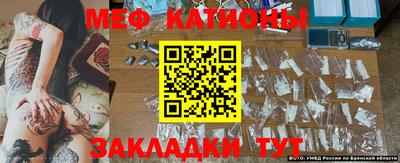 шишки Апрелевка