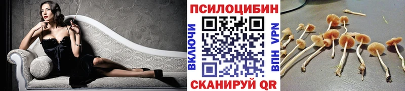 цена наркотик  Баксан  Псилоцибиновые грибы мицелий 