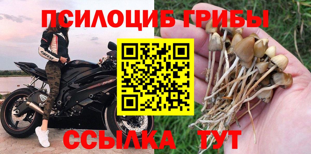 Галлюциногенные грибы прущие грибы  Псилоцибиновые грибы мухоморы  купить закладку  Баксан  Вход с VPN 