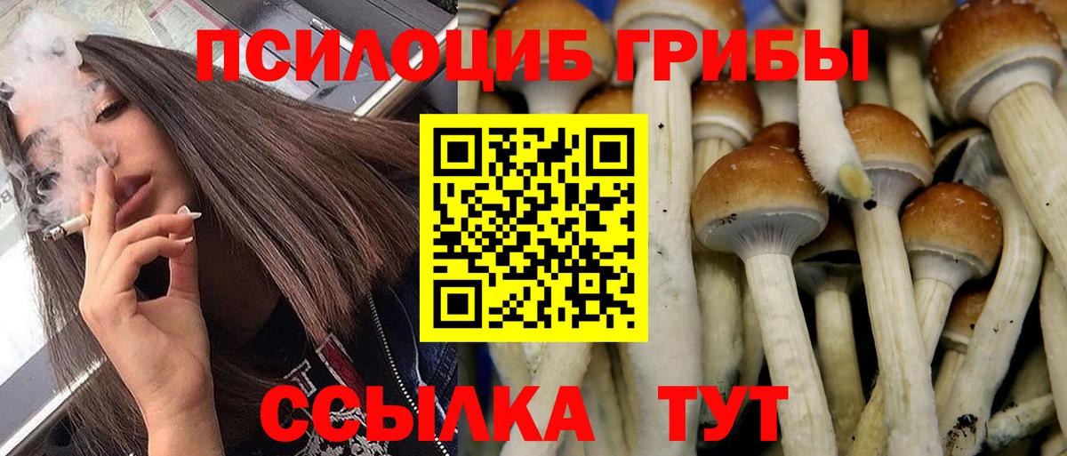 Галлюциногенные грибы Cubensis Баксан
