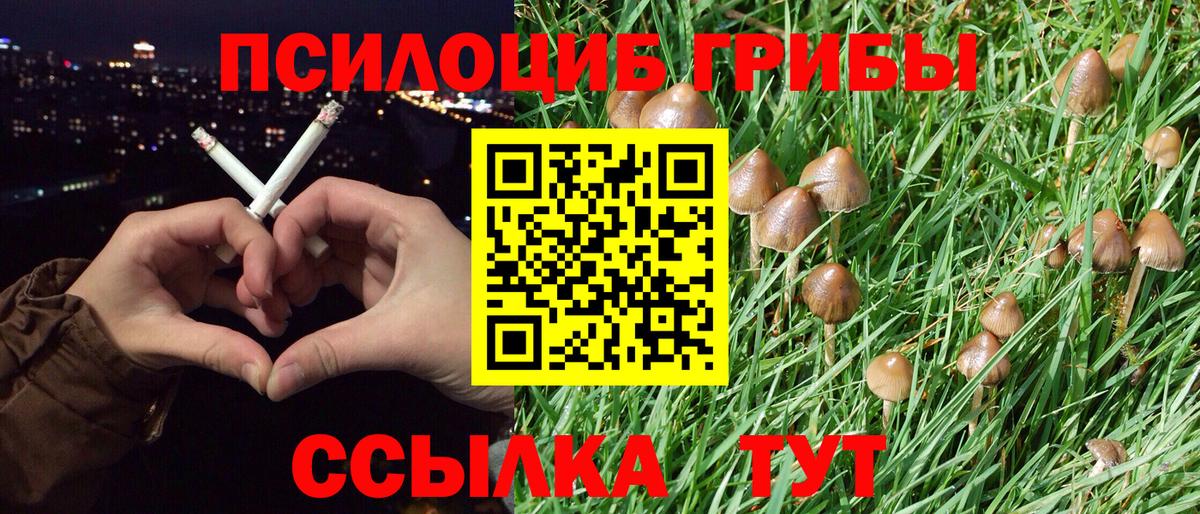 Галлюциногенные грибы MAGIC MUSHROOMS  Баксан  Псилоцибиновые грибы Magic Shrooms 